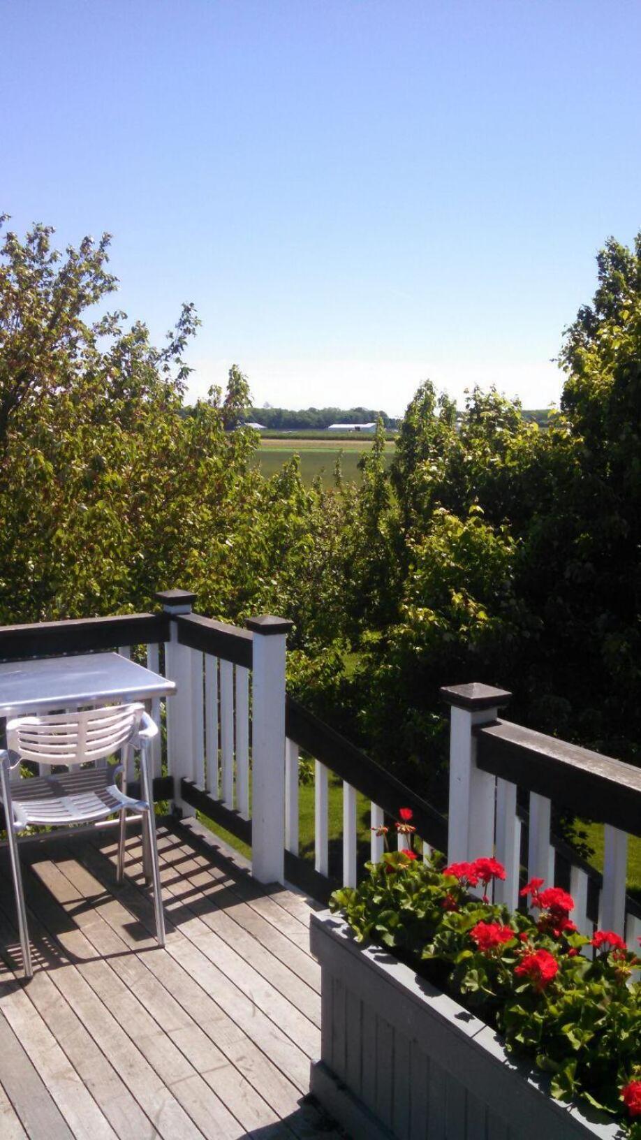 Large Modern North Fork Barn:Vineyards In Backyard, Harbes Farms Βίλα Mattituck Εξωτερικό φωτογραφία