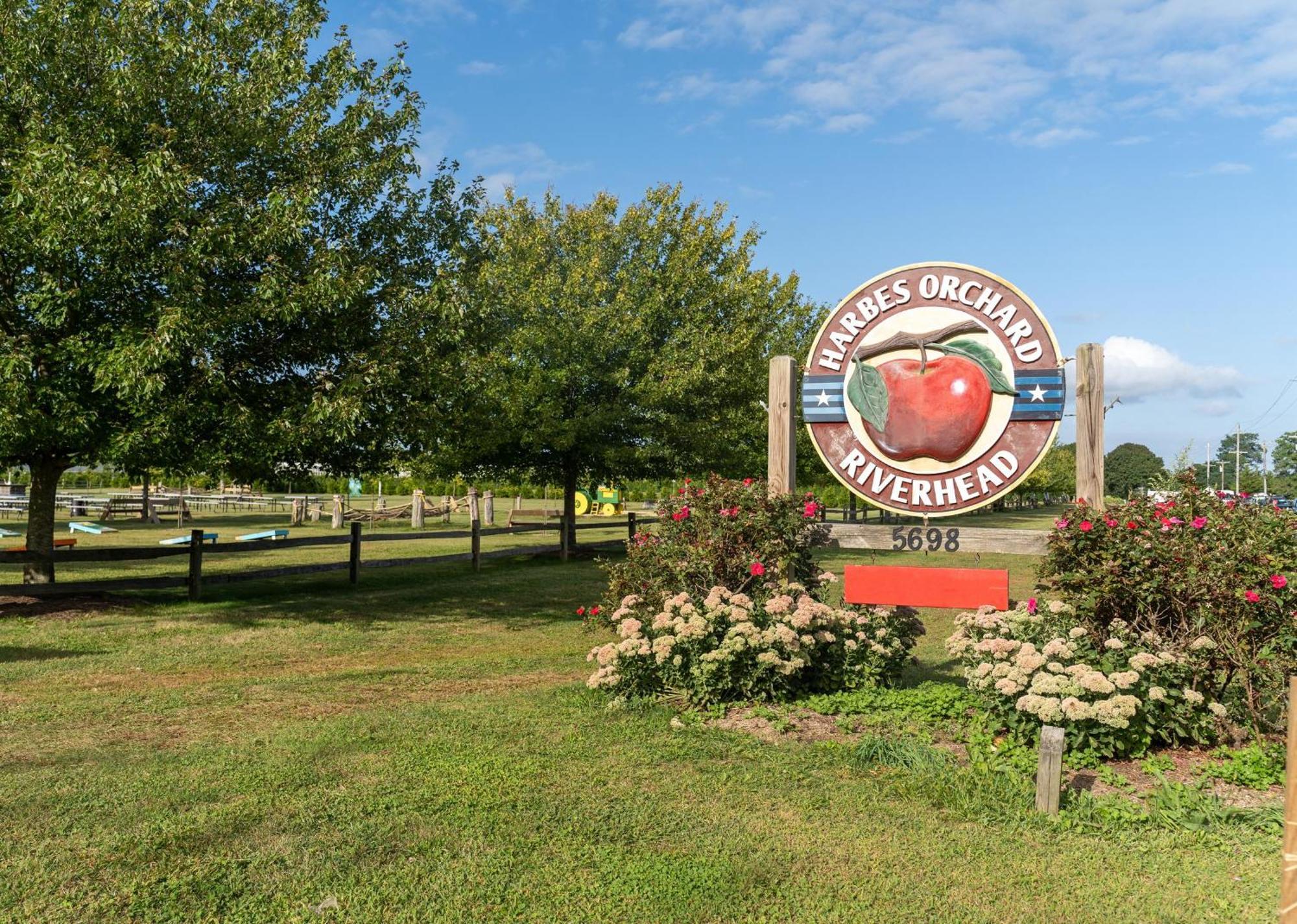 Large Modern North Fork Barn:Vineyards In Backyard, Harbes Farms Βίλα Mattituck Εξωτερικό φωτογραφία